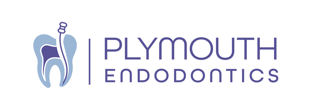 Link to Plymouth Endodontics home page